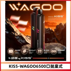 KIS5WAGOO哇酷6500口拋棄式 | 自由混搭雙口味 | 雙芯組合