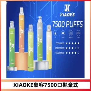 XIAOKE梟客7500Puffs跑馬燈拋棄式電子煙 可發光一次性